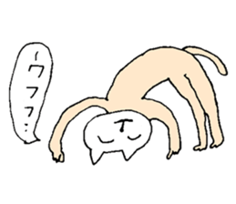 Cat cheat laughing sticker #8396379