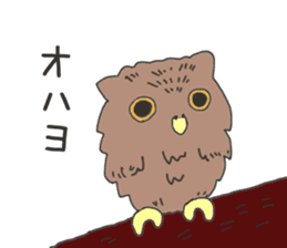 The owl sticker sticker #8397948