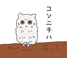 The owl sticker sticker #8397950