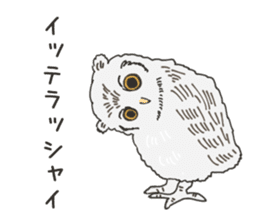The owl sticker sticker #8397959