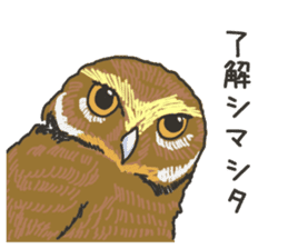 The owl sticker sticker #8397962