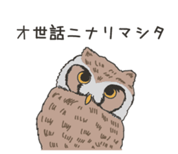 The owl sticker sticker #8397966