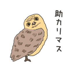 The owl sticker sticker #8397969