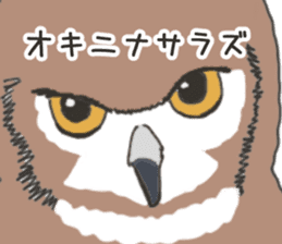 The owl sticker sticker #8397979