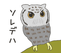 The owl sticker sticker #8397982