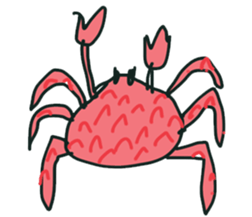 Crazy Animals ~~ Under The Sea sticker #8398150