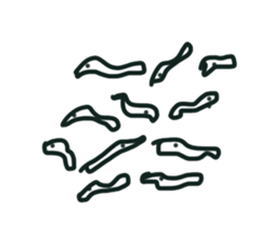 Crazy Animals ~~ Under The Sea sticker #8398185