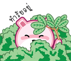 Drama Pink Bear sticker #8401221