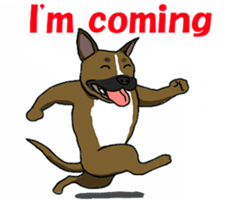 Staffordshire Bull Terriers sticker #8403271