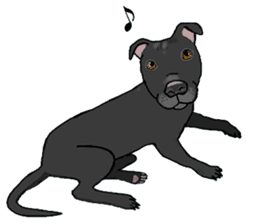 Staffordshire Bull Terriers sticker #8403276