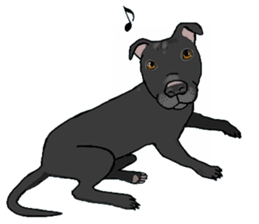 Staffordshire Bull Terriers sticker #8403276