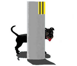 Staffordshire Bull Terriers sticker #8403286