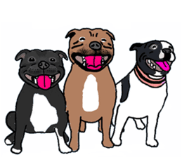 Staffordshire Bull Terriers sticker #8403287