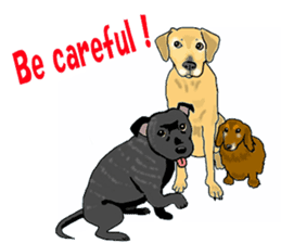 Staffordshire Bull Terriers sticker #8403290