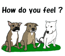 Staffordshire Bull Terriers sticker #8403295