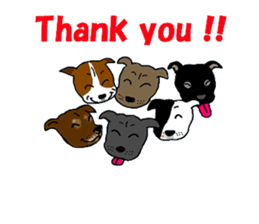 Staffordshire Bull Terriers sticker #8403296