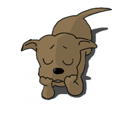 Staffordshire Bull Terriers sticker #8403299