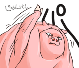 Piggy in winter sticker #8404369