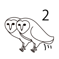 barn owl and friends 2