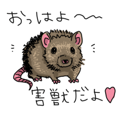 various animals and plants