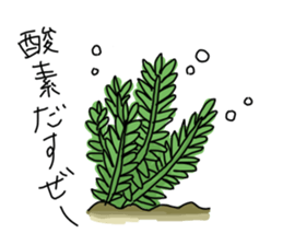 various animals and plants sticker #8410808