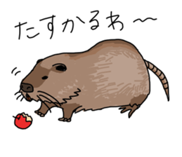 various animals and plants sticker #8410818