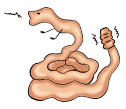 Cells, Tissues, Organs & Living Things sticker #8412312