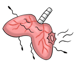 Cells, Tissues, Organs & Living Things sticker #8412323