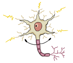 Cells, Tissues, Organs & Living Things sticker #8412342