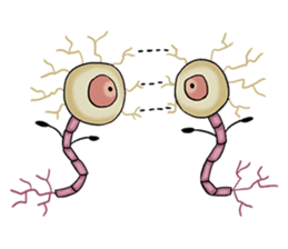 Cells, Tissues, Organs & Living Things sticker #8412343