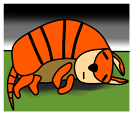 JIN-JIN Armadillo Life (2nd) sticker #8412656