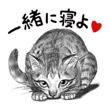 Good night sticker of matataku sticker #8413859