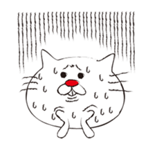 Very white cat with a red nose sticker #8416270