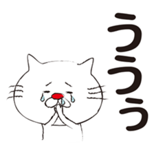 Very white cat with a red nose sticker #8416273