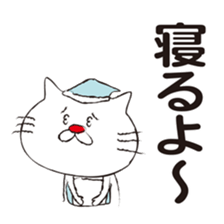 Very white cat with a red nose sticker #8416278