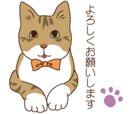 Winter cat sticker #8416481