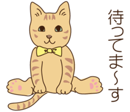 Winter cat sticker #8416484