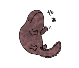 The laid-back giant salamander sticker #8417623
