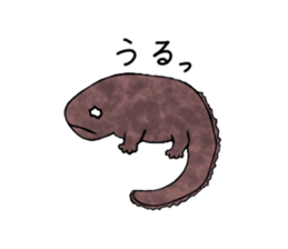 The laid-back giant salamander sticker #8417633