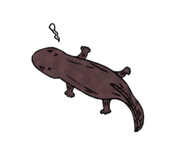 The laid-back giant salamander sticker #8417639