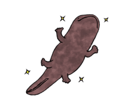 The laid-back giant salamander sticker #8417641