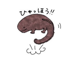 The laid-back giant salamander sticker #8417642