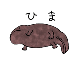 The laid-back giant salamander sticker #8417643