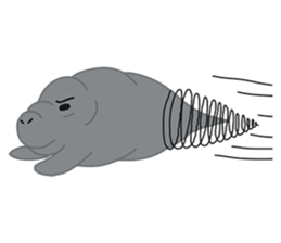 Seal Sea Cow (Dugong) Walrus & Sea Lion sticker #8421754