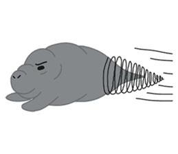 Seal Sea Cow (Dugong) Walrus & Sea Lion sticker #8421754