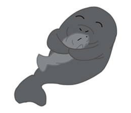 Seal Sea Cow (Dugong) Walrus & Sea Lion sticker #8421756