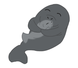 Seal Sea Cow (Dugong) Walrus & Sea Lion sticker #8421756