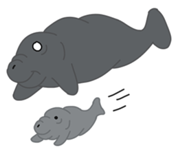 Seal Sea Cow (Dugong) Walrus & Sea Lion sticker #8421757