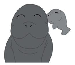 Seal Sea Cow (Dugong) Walrus & Sea Lion sticker #8421758
