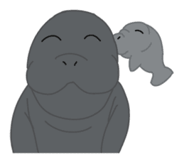 Seal Sea Cow (Dugong) Walrus & Sea Lion sticker #8421758